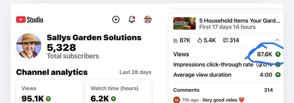 Sally's Garden Solutions Result